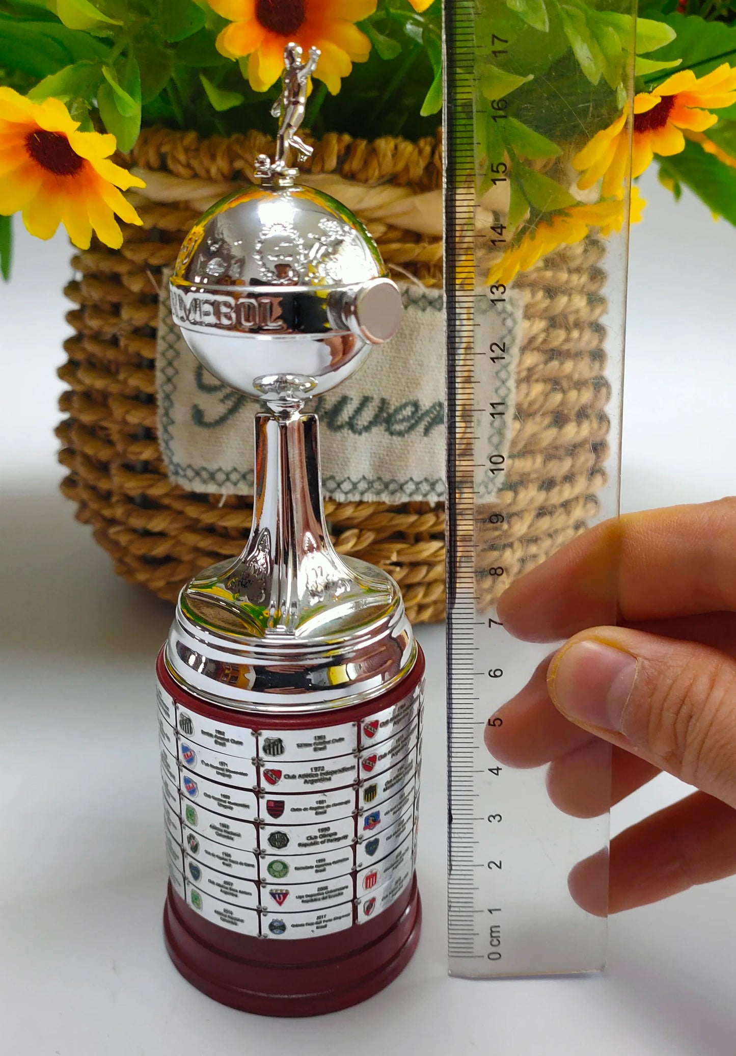 Réplica Copa Libertadores a escala