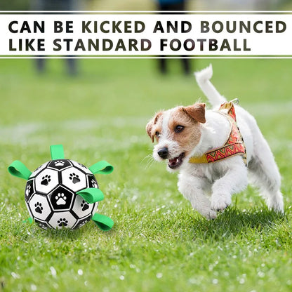 Pelota de fútbol para mascotas