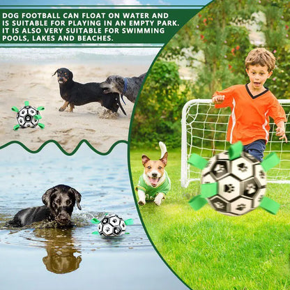 Pelota de fútbol para mascotas